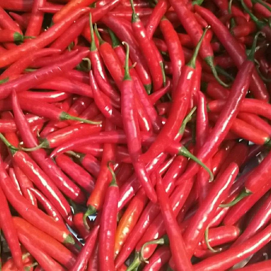 ♥♥长发阿彬♥♥