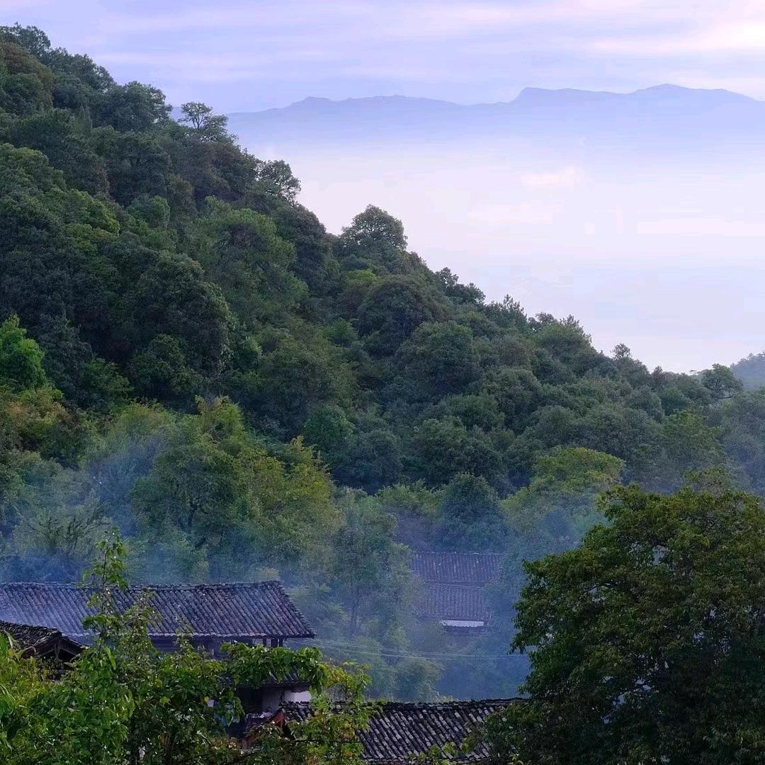 曼曼水果店
