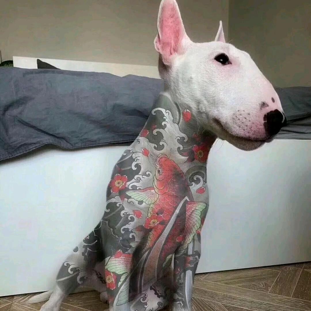 瓦哒刮擦