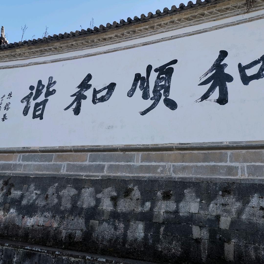 杜涛