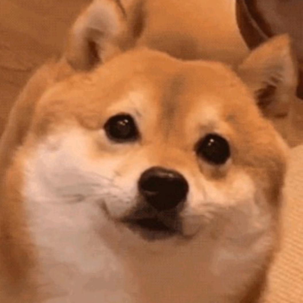 是麒霖吖