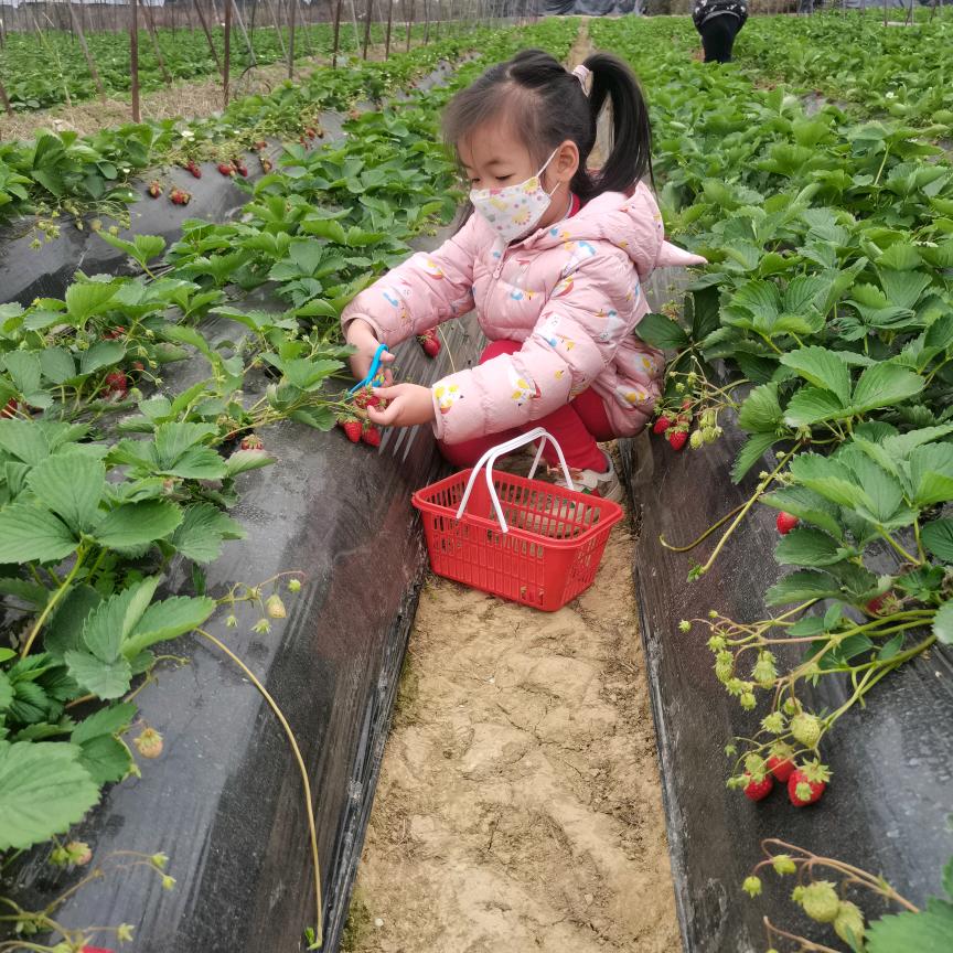 随缘