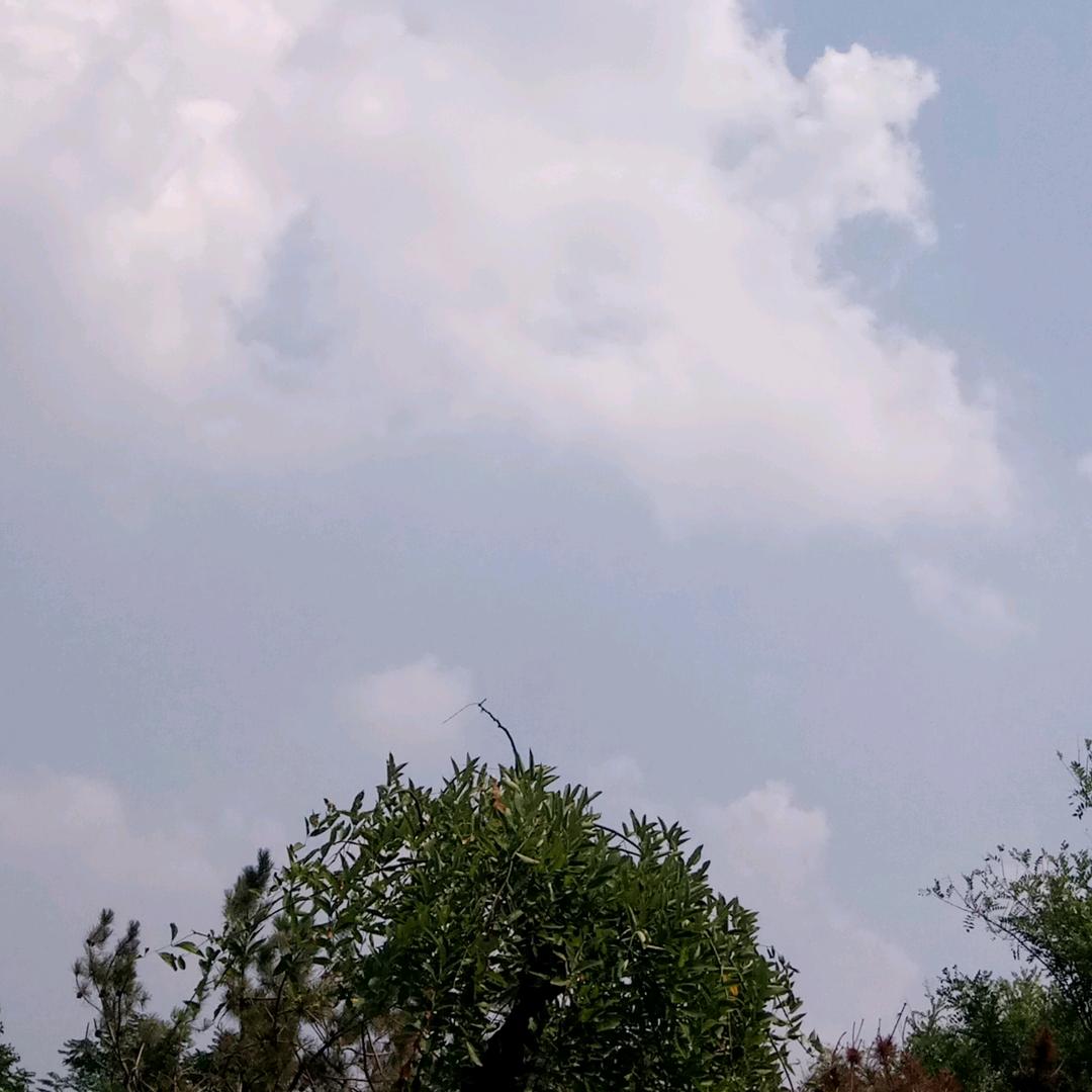 精 彩 无 限 🇨🇳 ⚽️