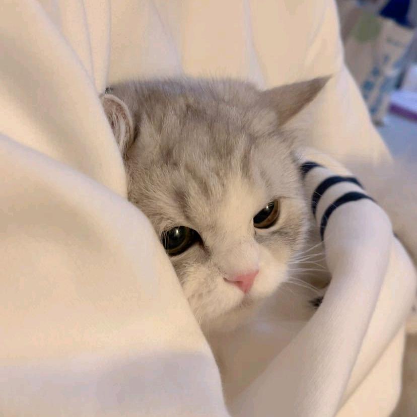 嘻嘻习🥛