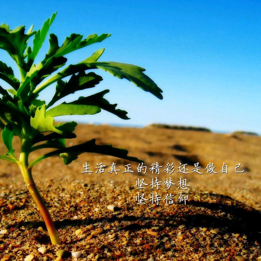 静静—