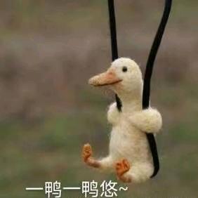 一梦两三年。