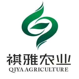 江西祺雅—种橙公