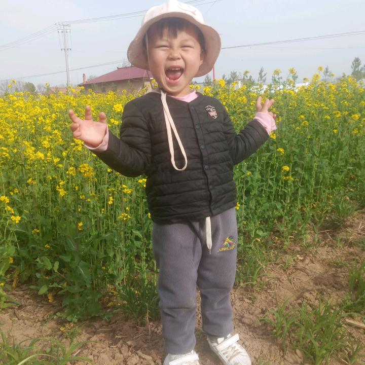 沙漠飞鹰