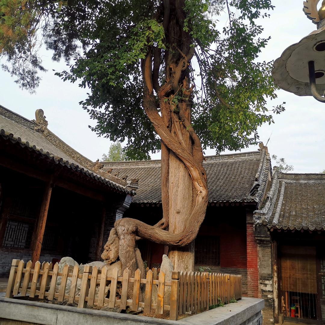 常仁