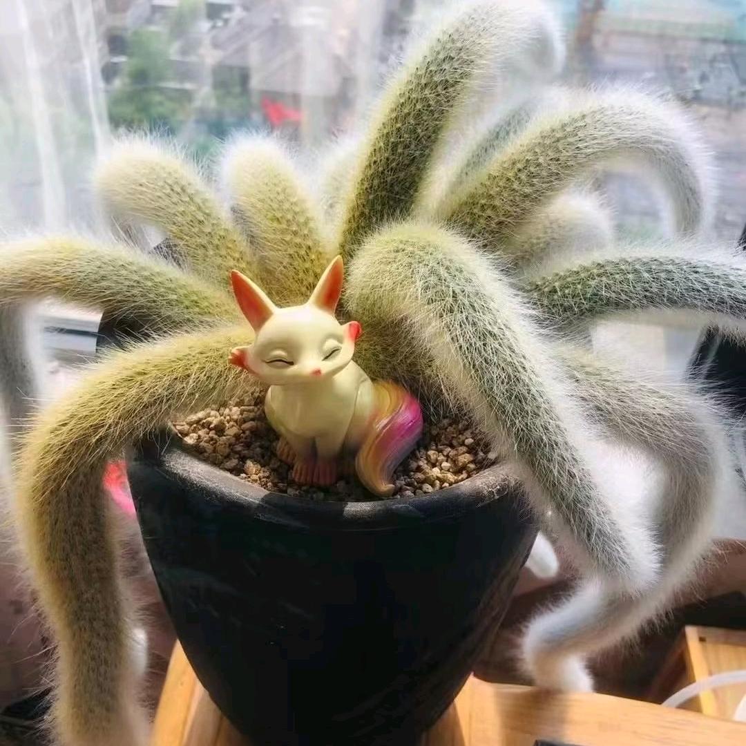 工程小小白