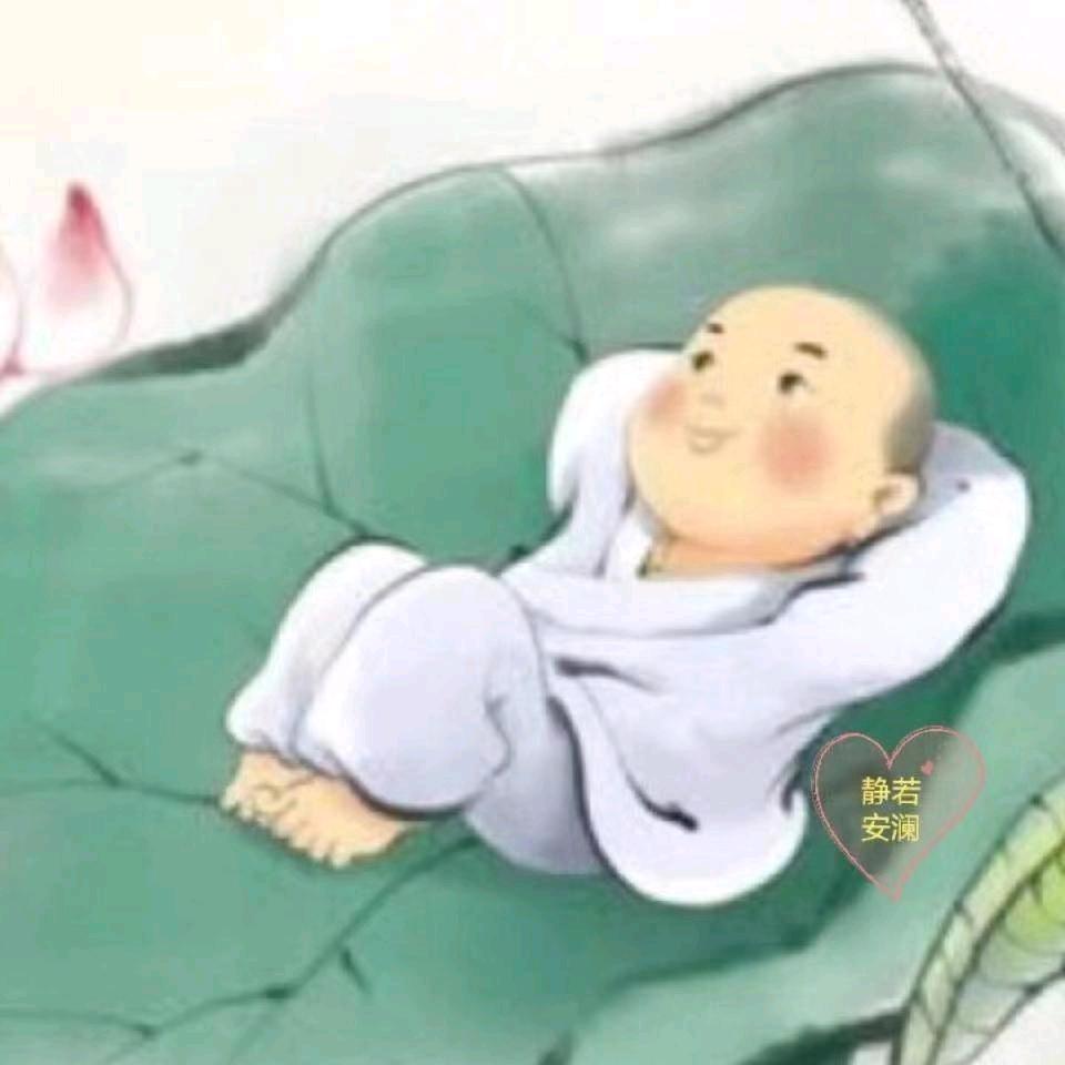 南木楠楠