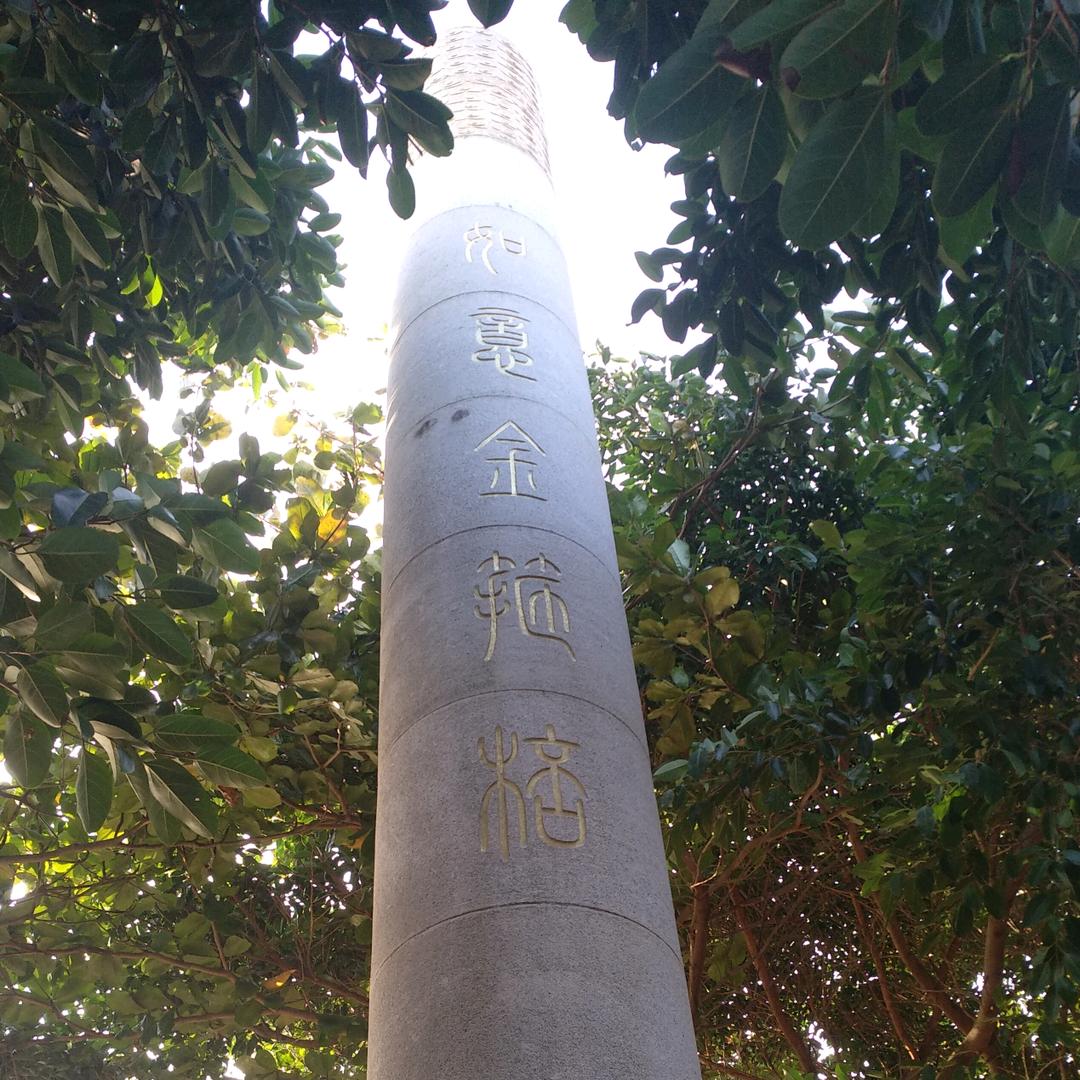 感恩于心，回报于行