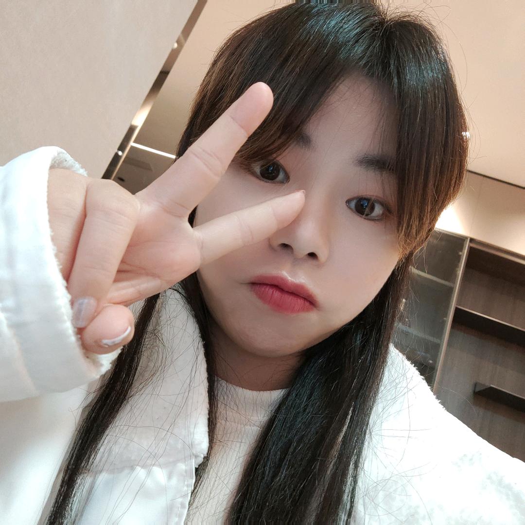 不吃萝卜的兔子
