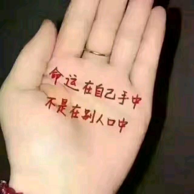 用户195606