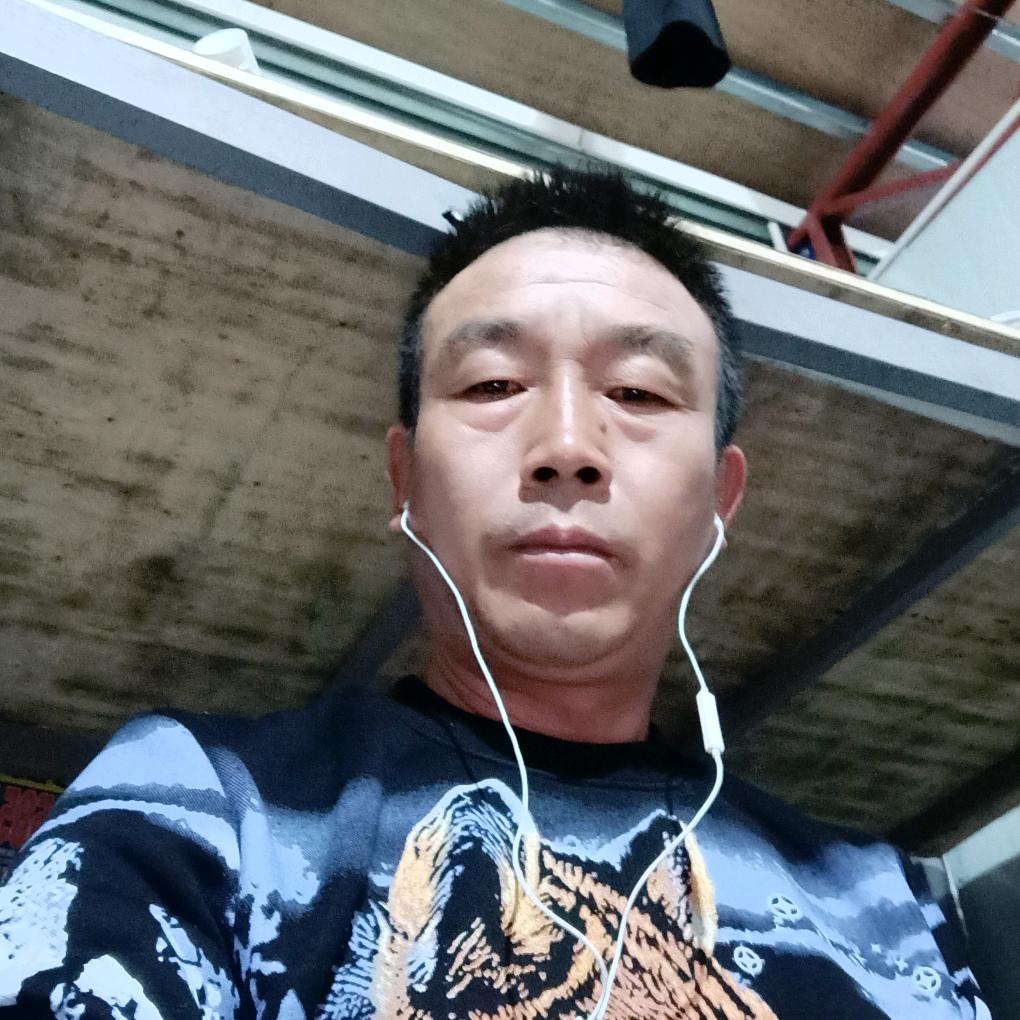 鹏程万里（冉冉升起）