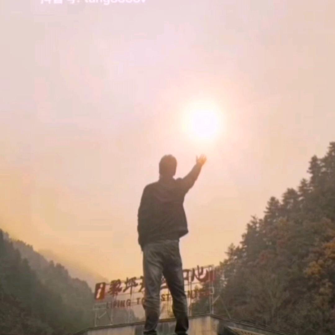 布鲁斯:.李
