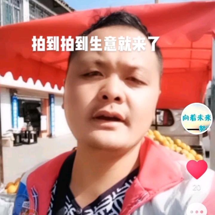 飞翔的企鹅