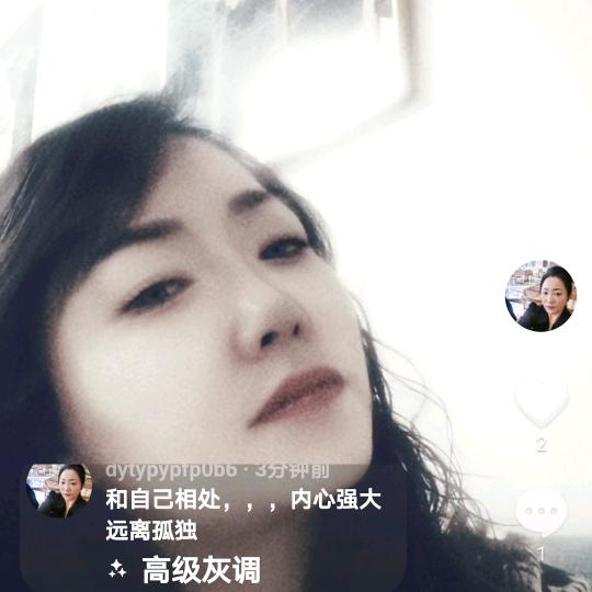 鸿雁