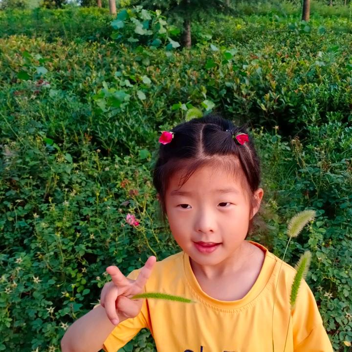 幸福过好每一天