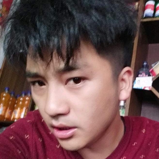 龍腾四海