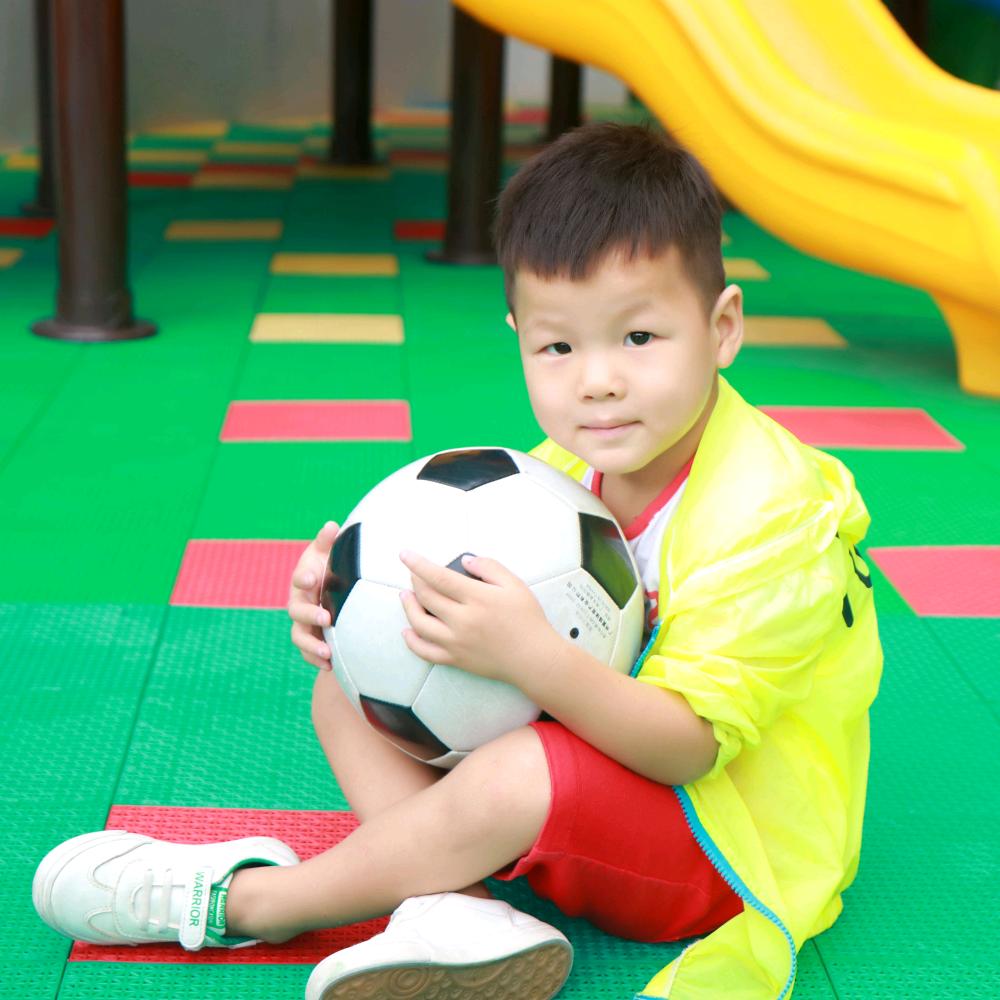 家有两只小神兽