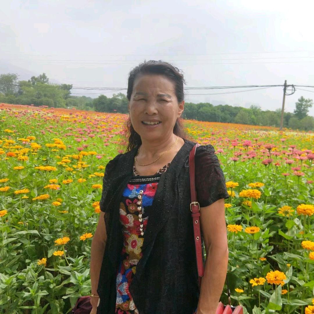 热爱生活的夜莺