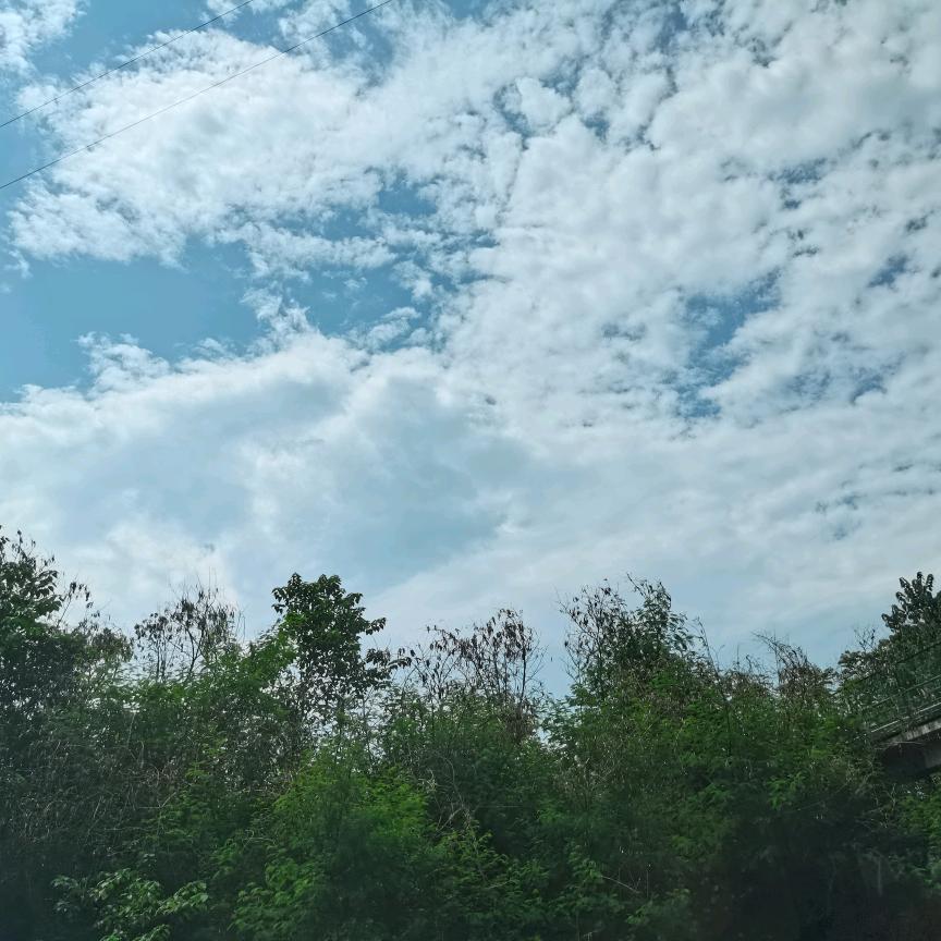 重庆小贝熊母婴批发罗娅
