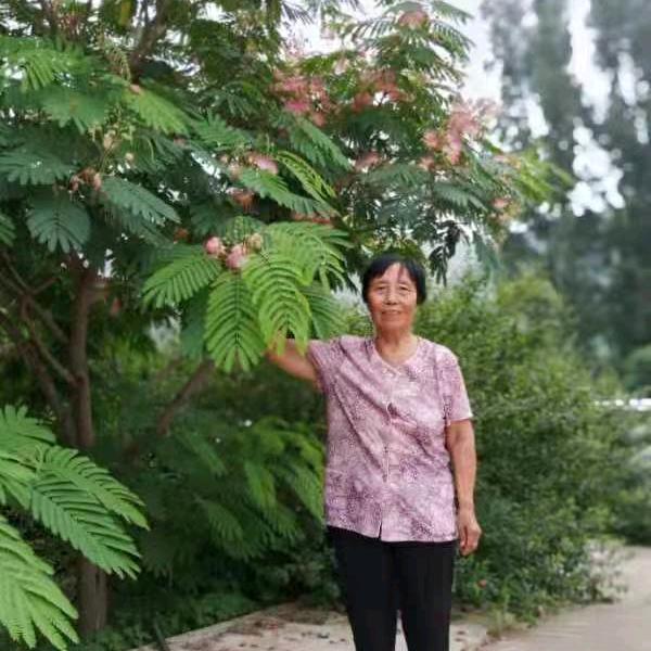 快乐a