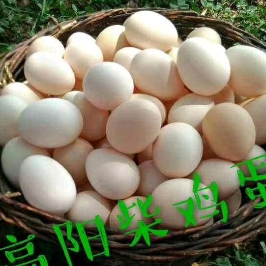 高阳蛋品批发零售