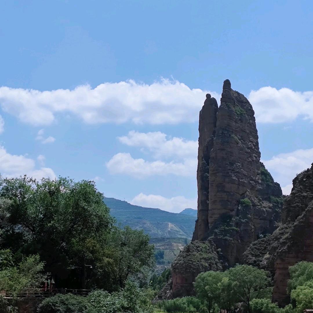 南山客