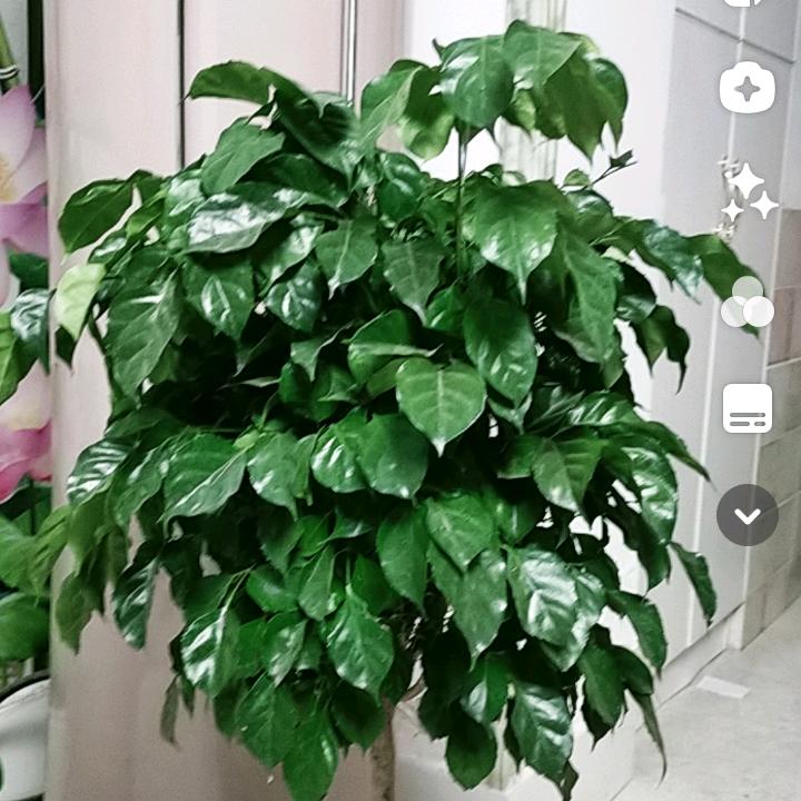 雨过天晴