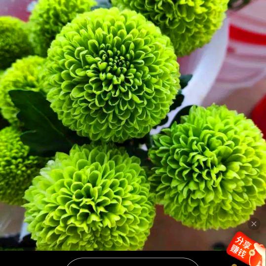 天天  开心快乐