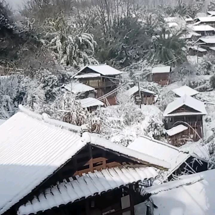 团购