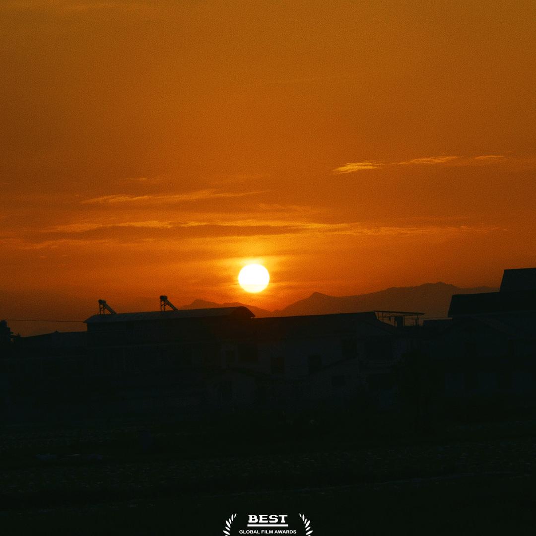 自渡Y