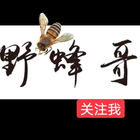 野蜂哥