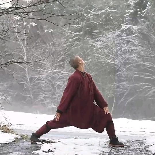 悟静听雪