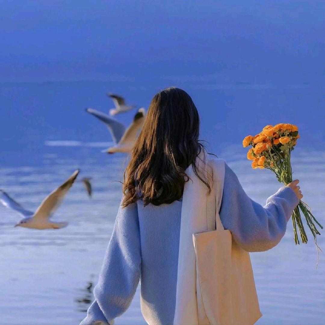 人美又多金（搞钱版）