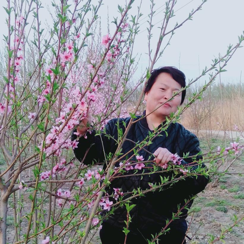 方茹饺子馆