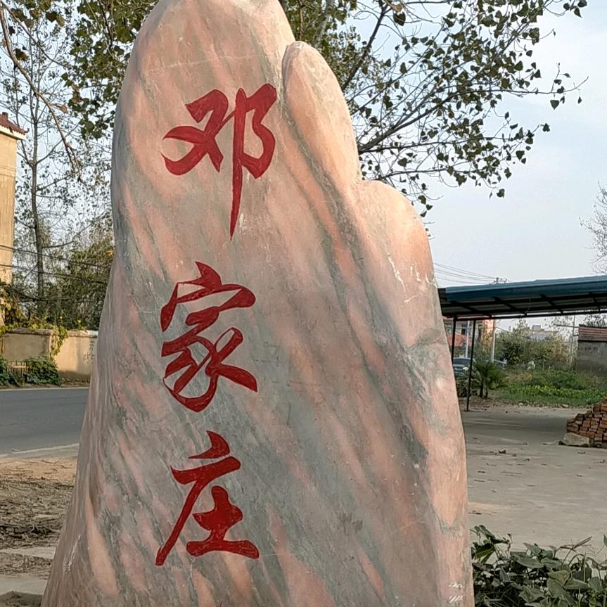 为了生活四海为家🐅