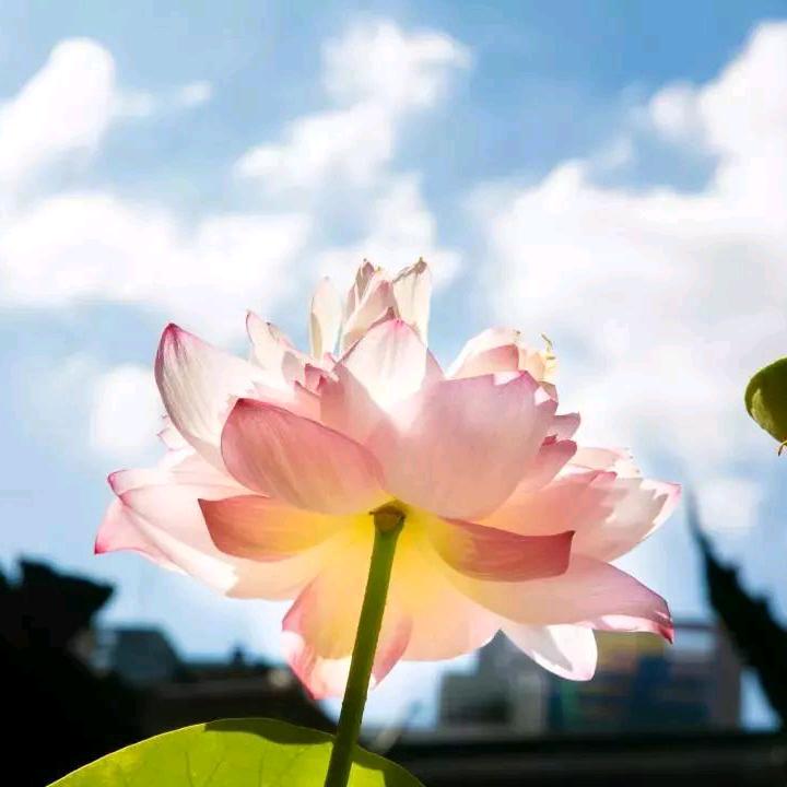 春暖花开