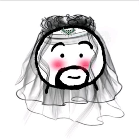 娱乐圈顶流刘女士