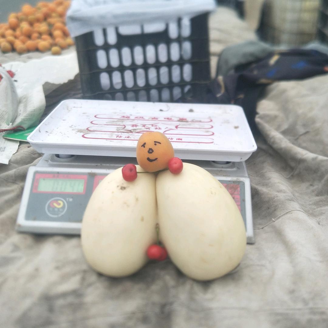 水果哥哥你来了