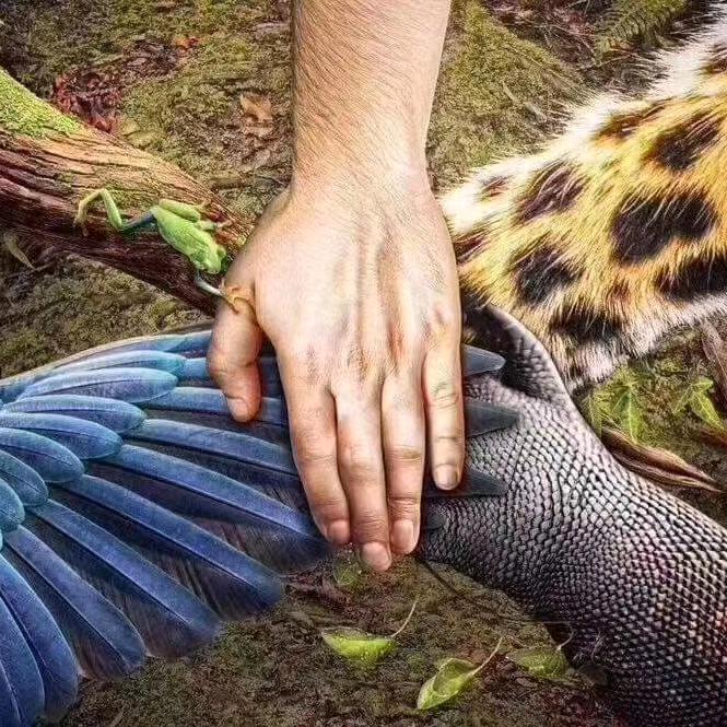 北京方舟世家动物医院老陈