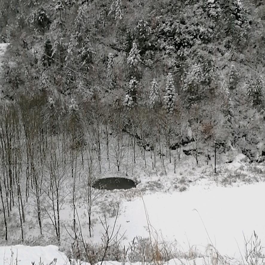 ໑ຼₒ₂₃ღ᭄冯哥🕊꧔ꦿ᭄💞