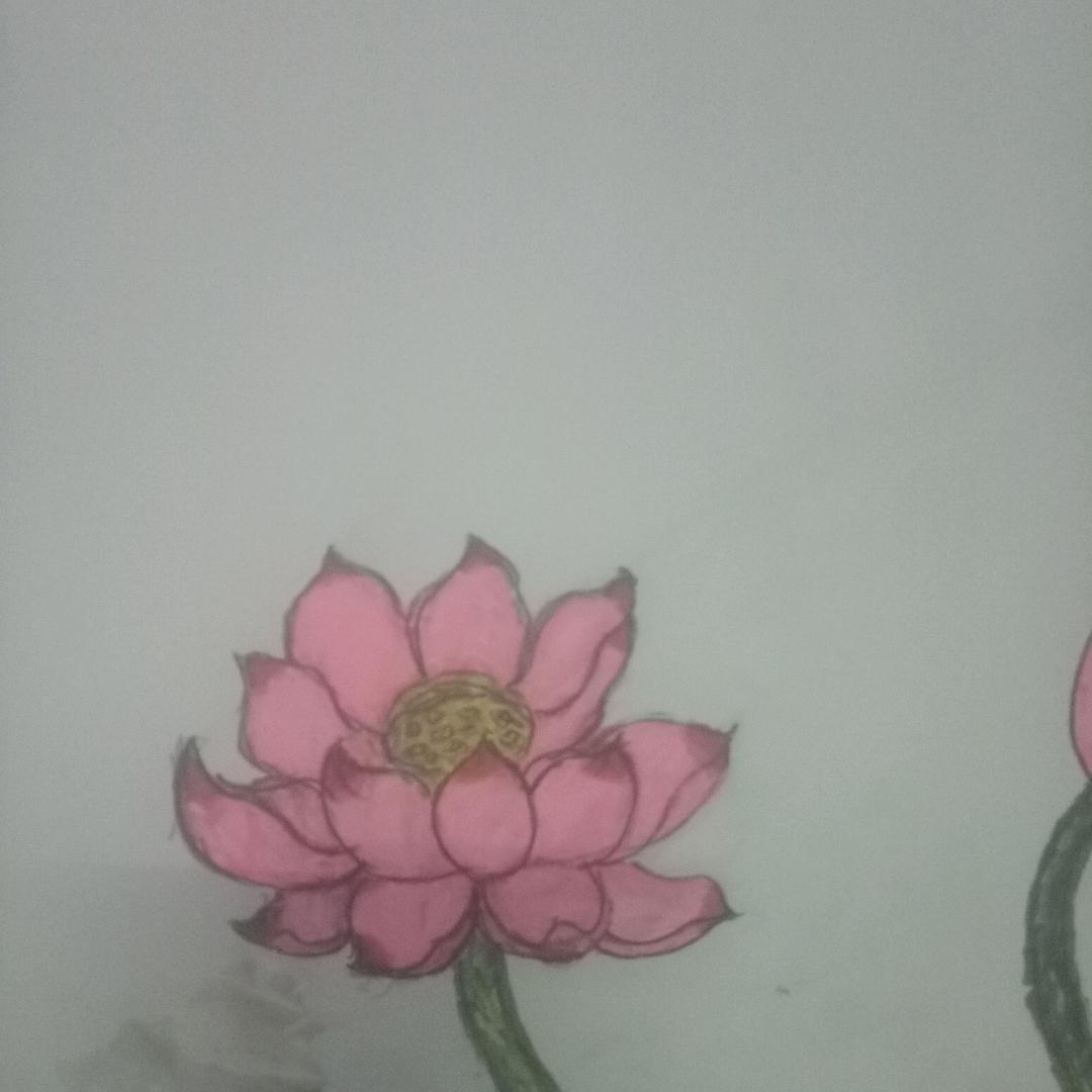 阿奇哥