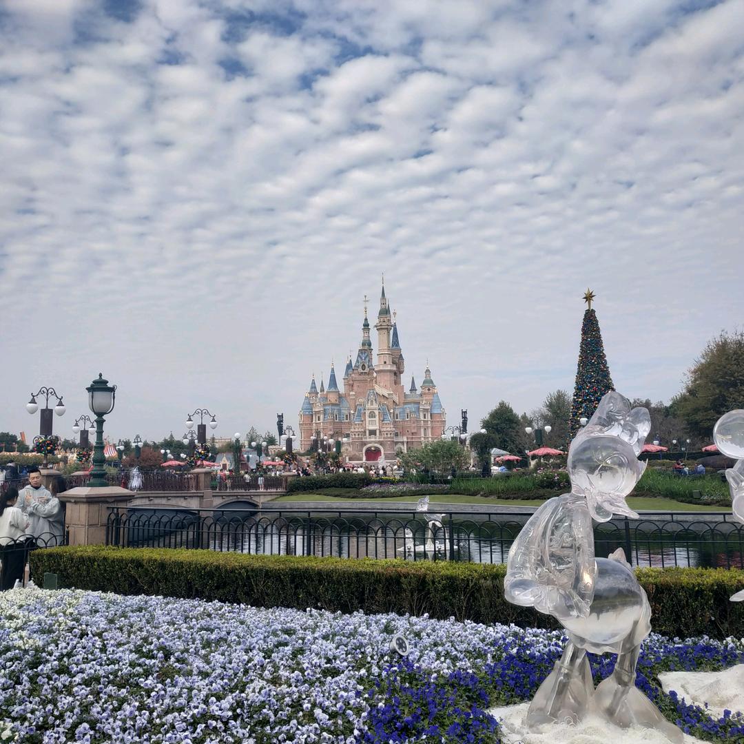 土豆泥不喜欢吃土豆