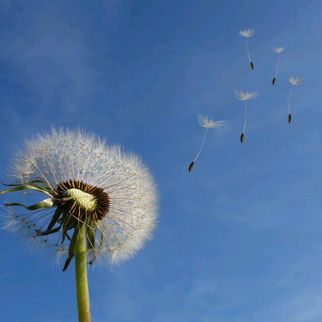 七七来喽