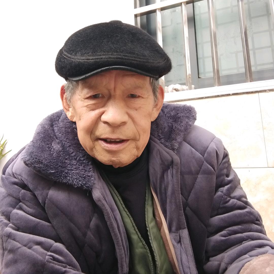 金成蜂业
