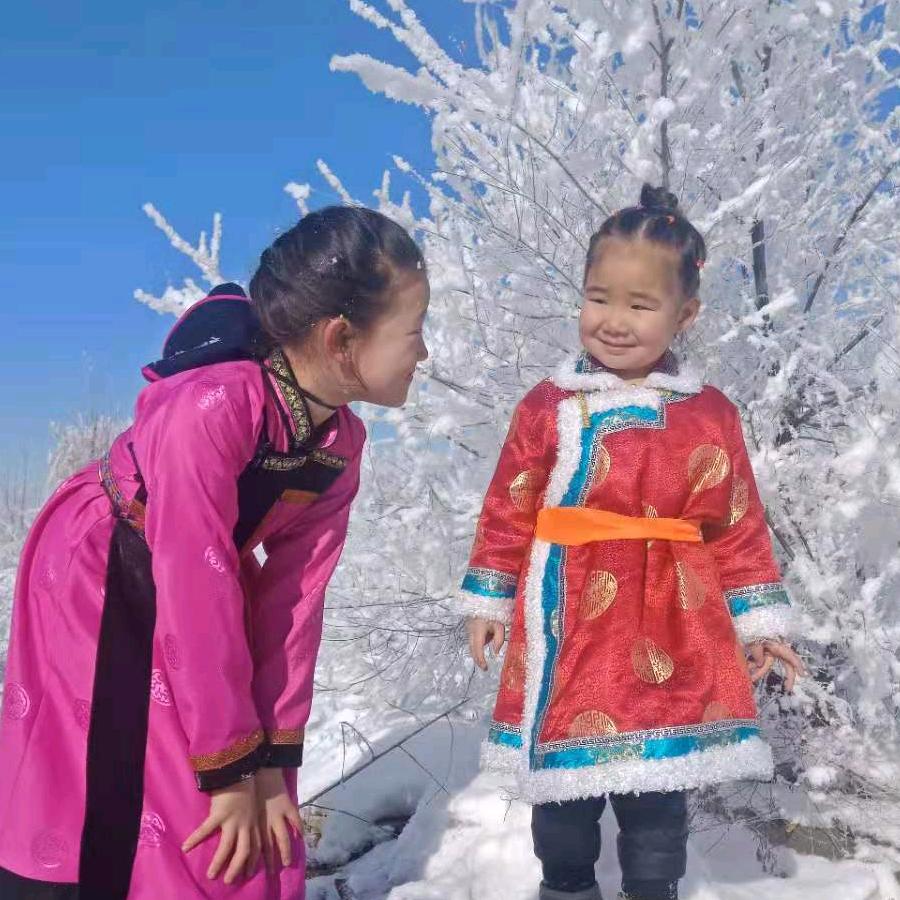 哈比
