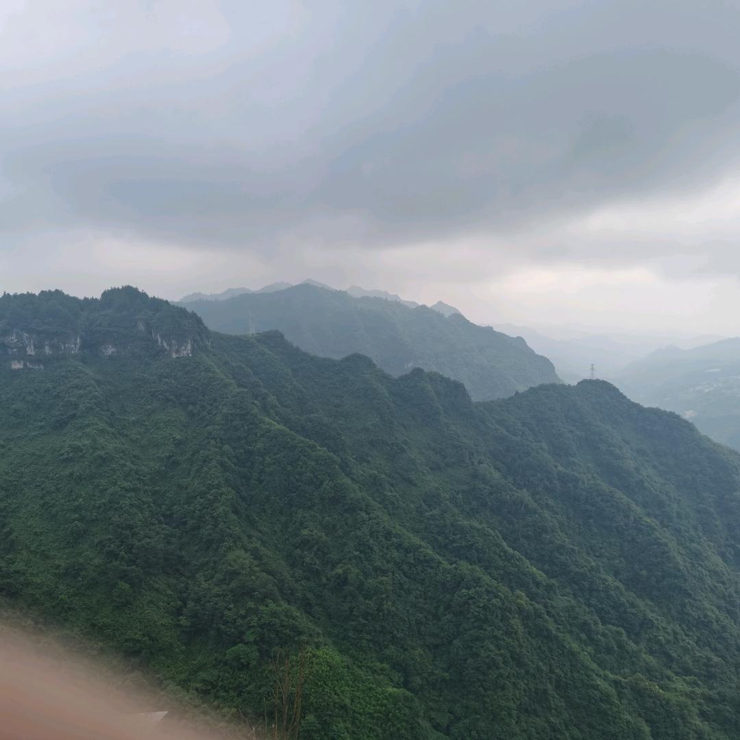 老衲未动凡心
